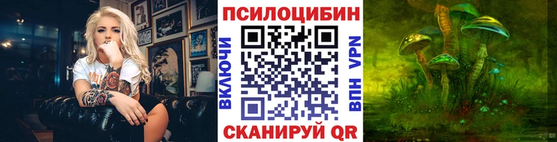 Псилоцибиновые грибы ЛСД  купить закладку  Цимлянск 